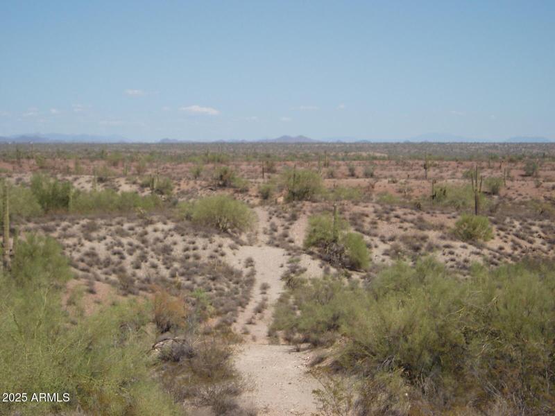 P8300019