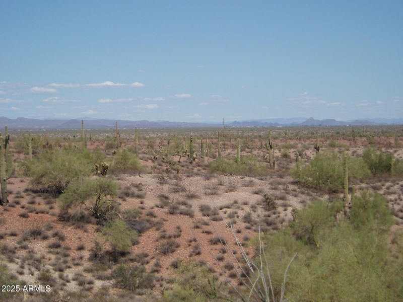 P8300020
