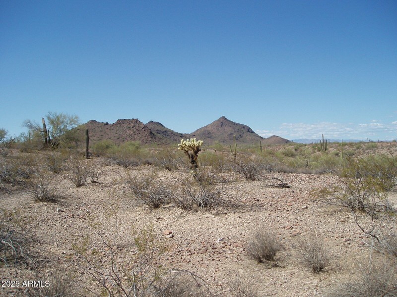 P8300024