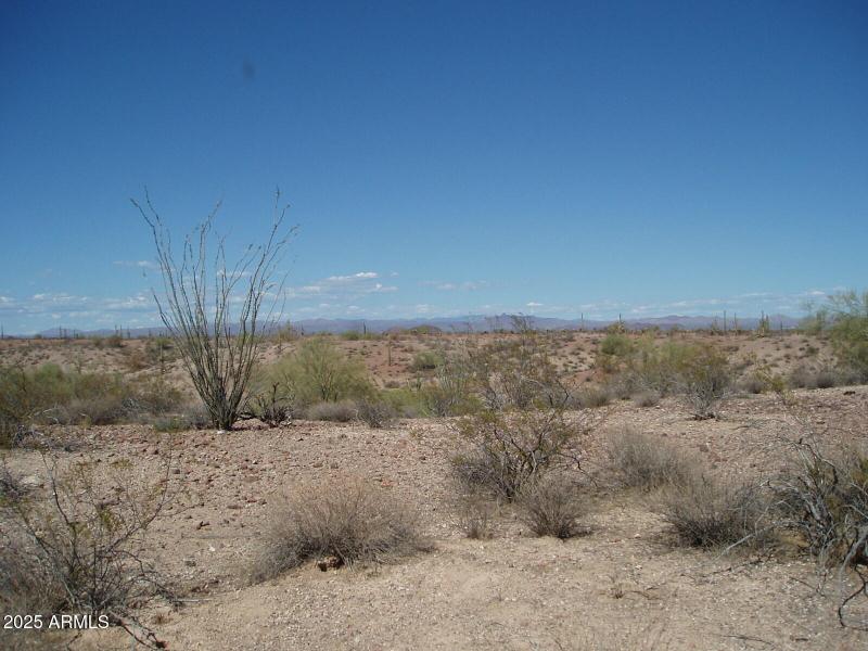 P8300025