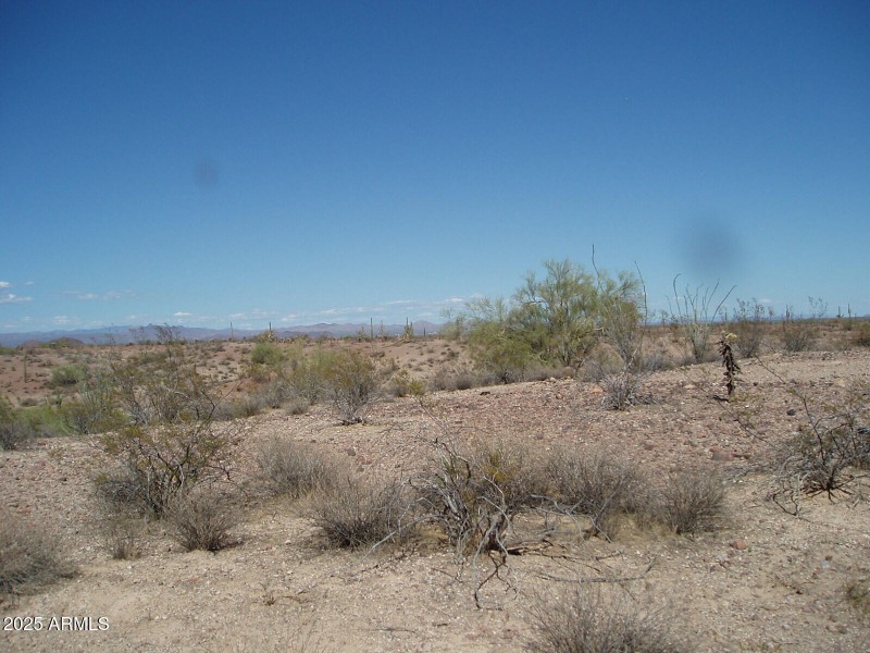 P8300026