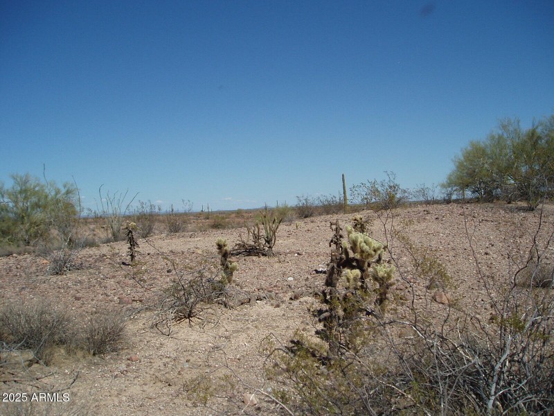 P8300027
