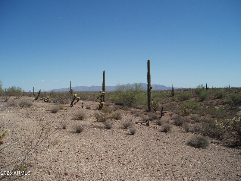 P8300028