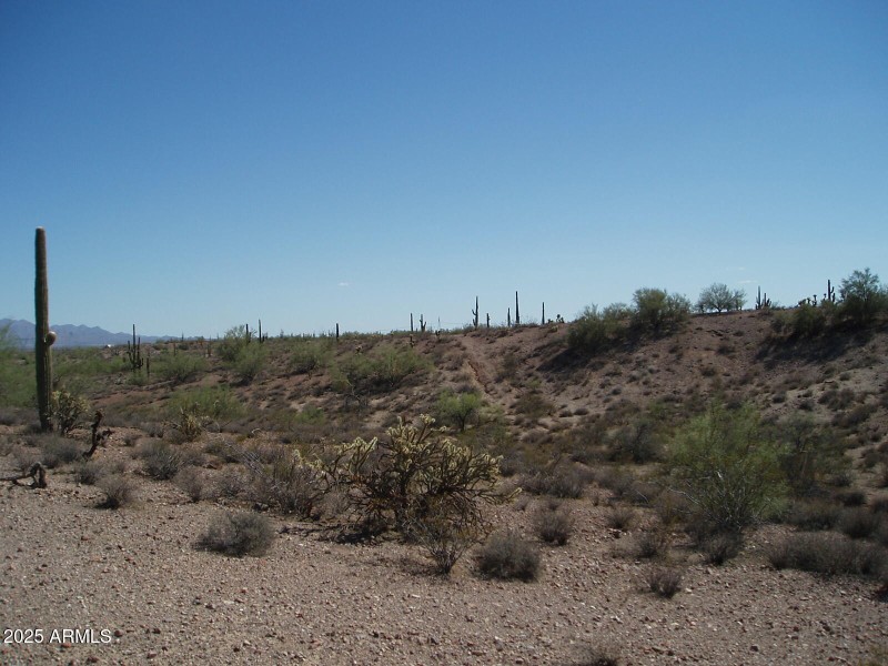 P8300029