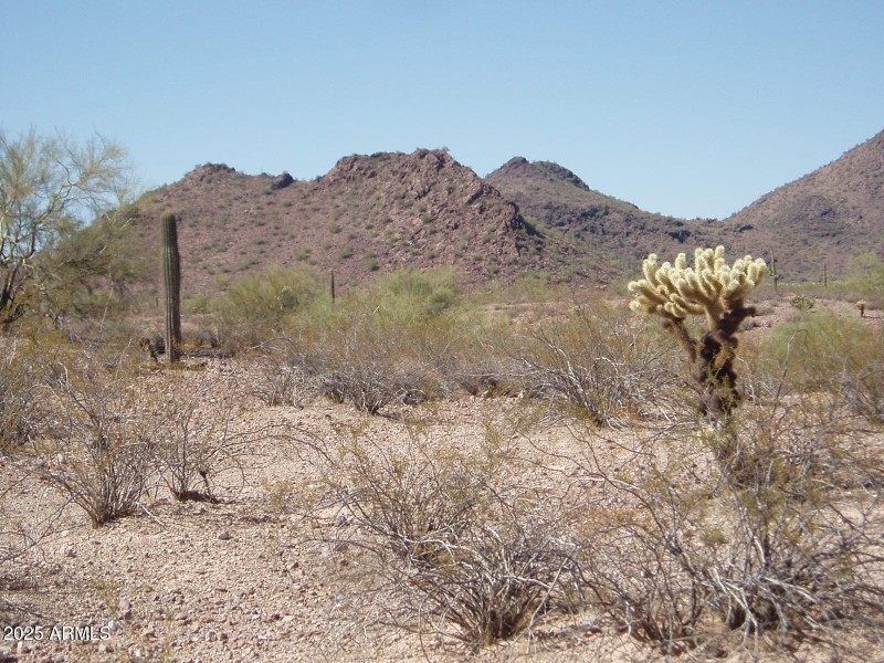 P8300032