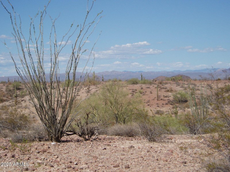 P8300033