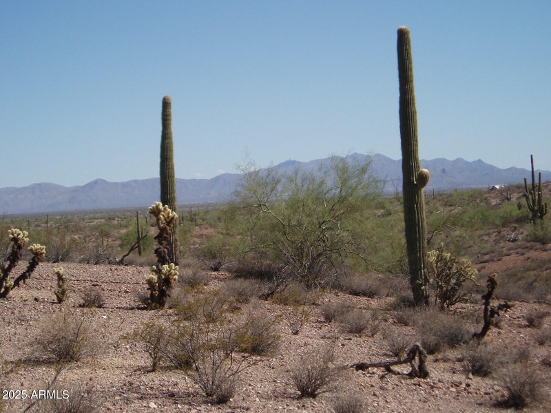 P8300034