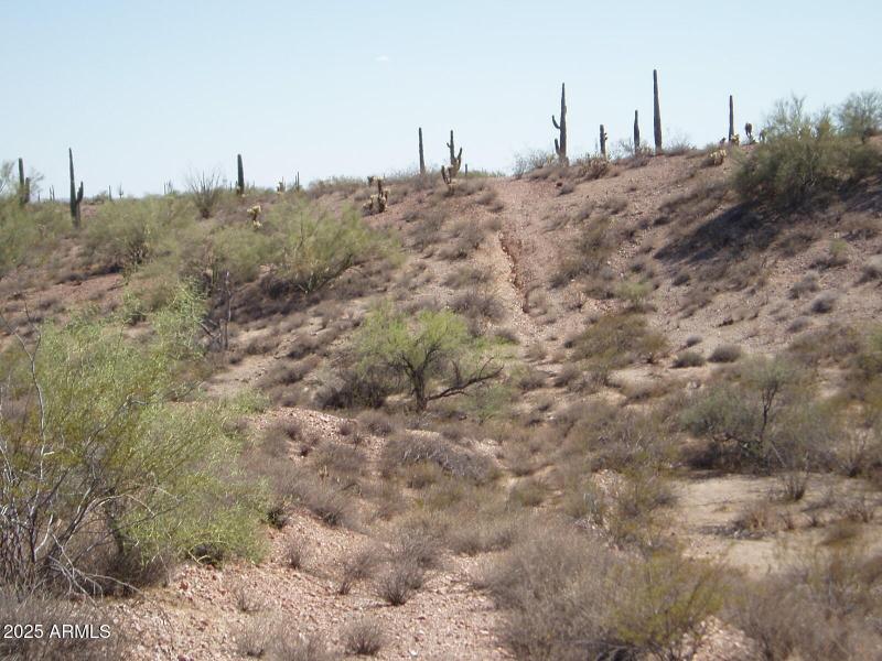 P8300035