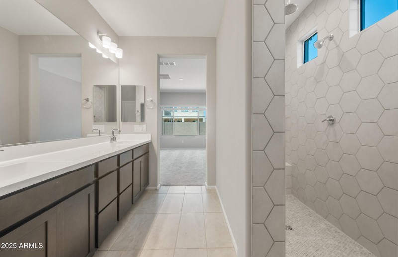 Owner's Bathroom