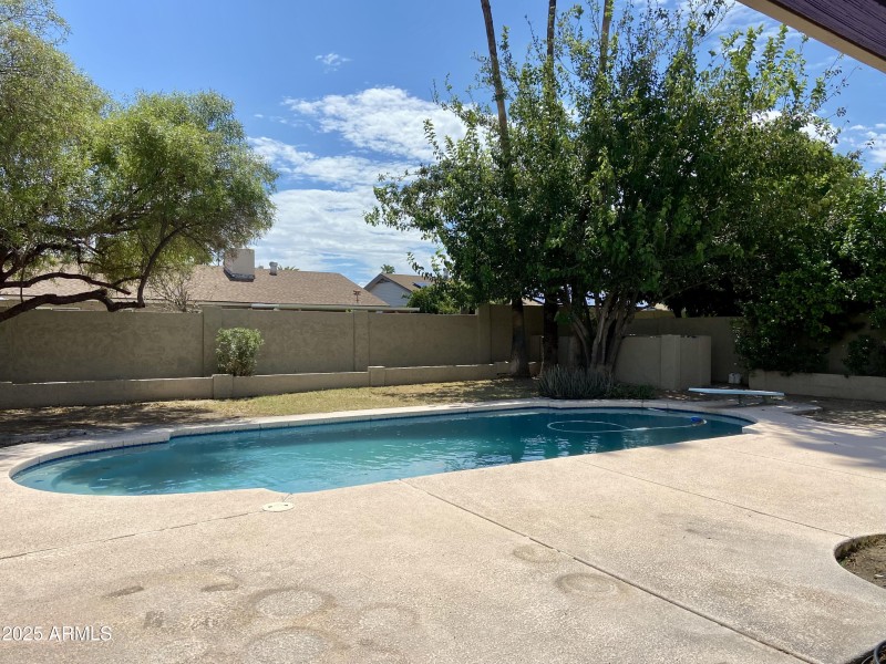 Pool view from patio
