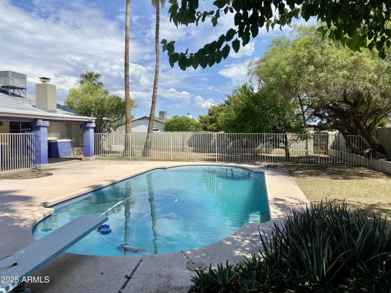 Backyard Diving Pool