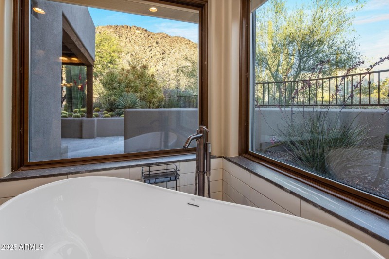 Primary Tub Views