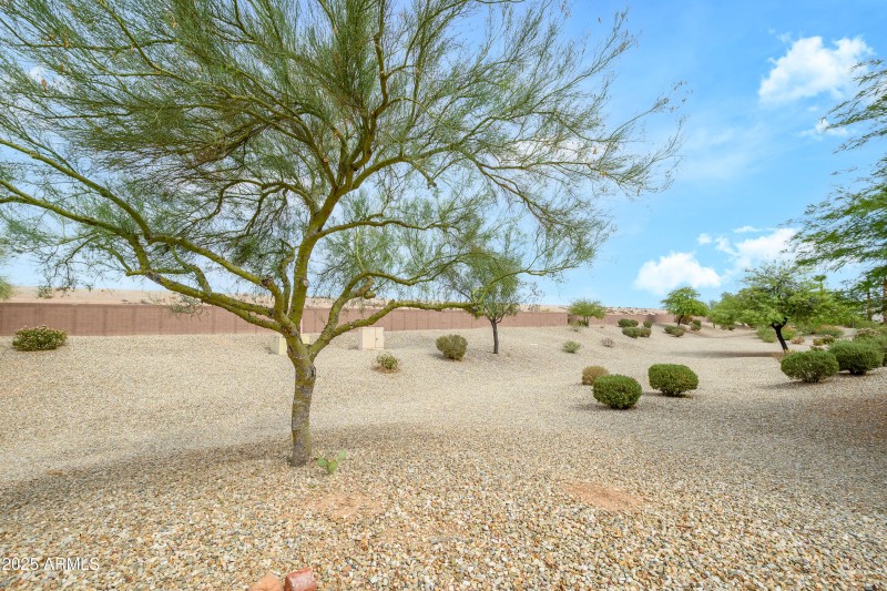 Back Landscape