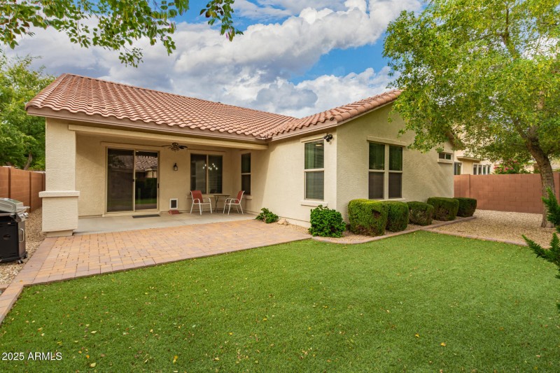 Backyard. Artifical Turf