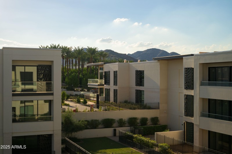 Palm Garden