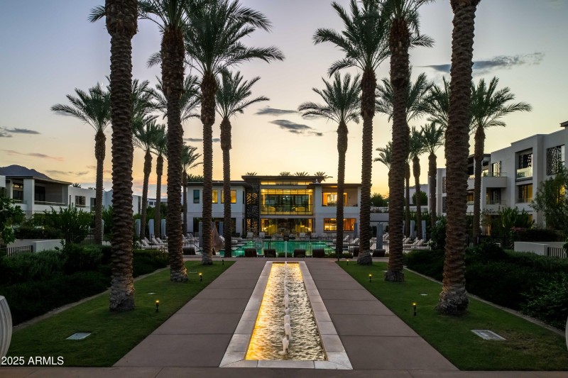 Palm Walk