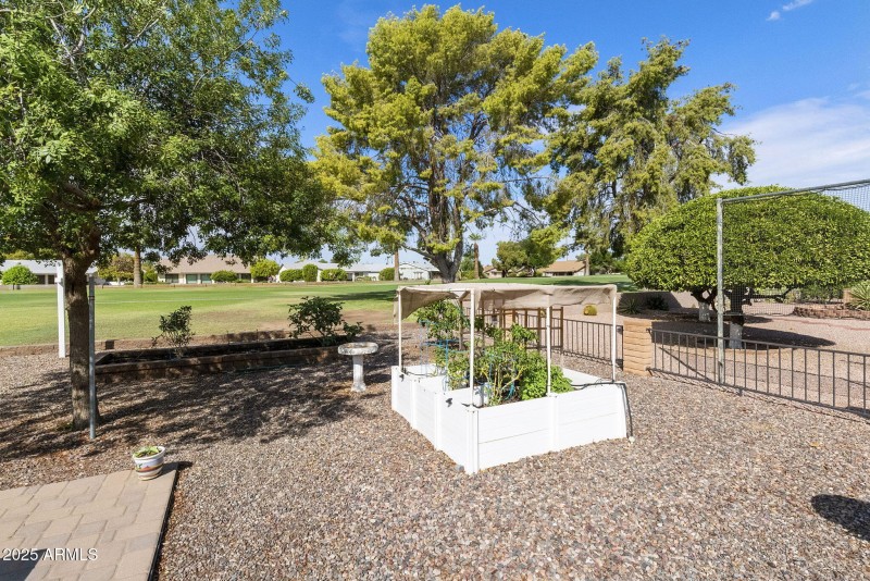 Nice Backyard