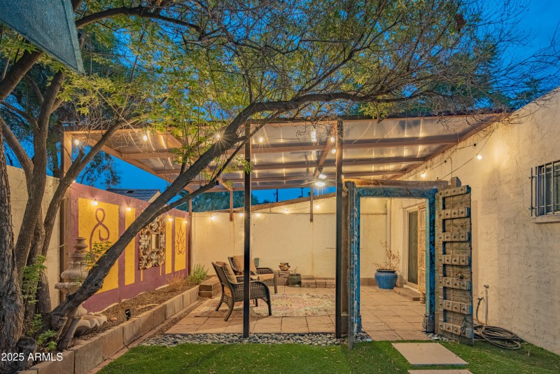 Backyard