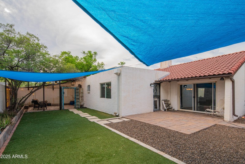 Backyard