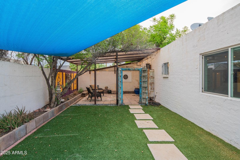 Backyard