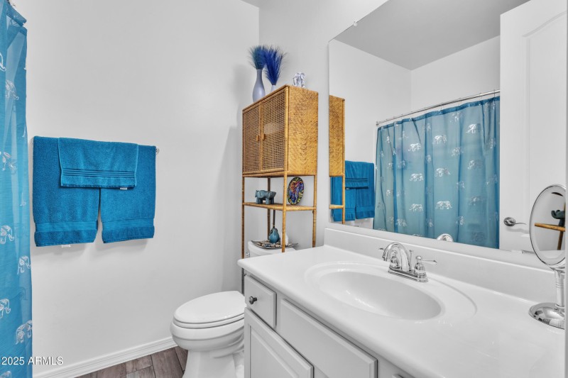 Guest bath 2