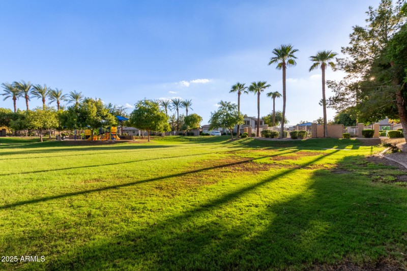 Community Park