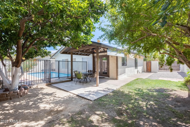 Backyard / Back Patio