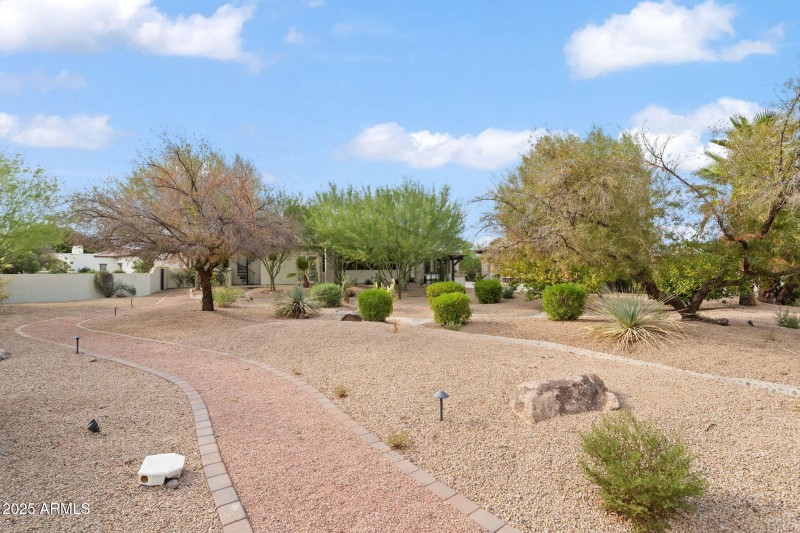 Backyard