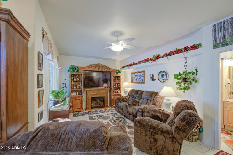 Living Room 1
