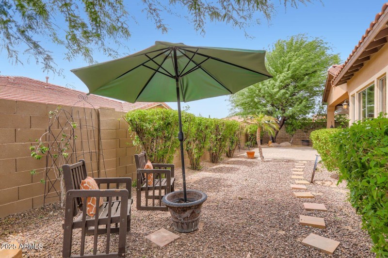 Tranquil backyard
