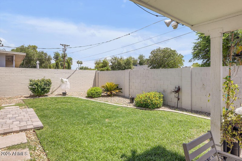 Backyard