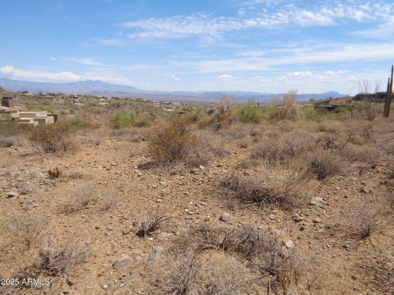 Landscape (1)