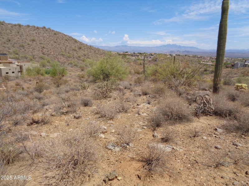 Landscape (2)
