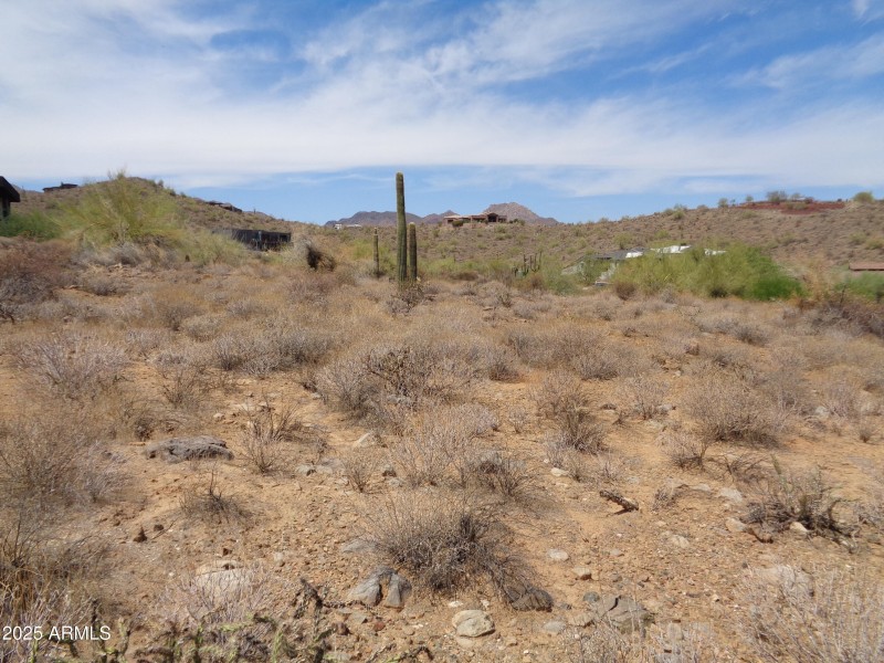 Landscape (3)