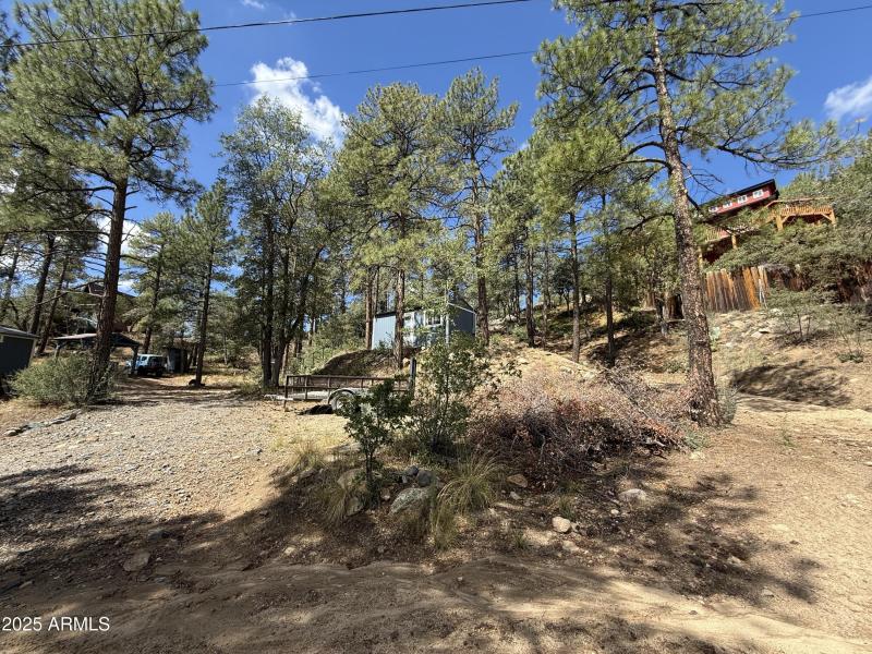View of the lot