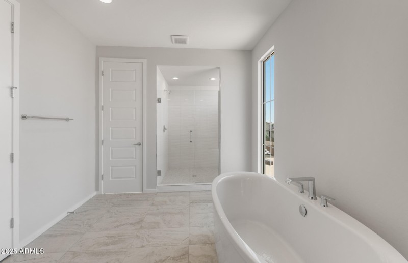 Owner's Bathroom