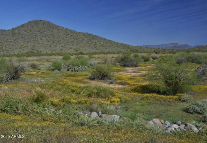 Sonoran Preserve