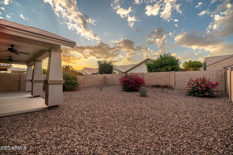 Backyard-1
