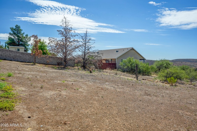 Back Yard 2