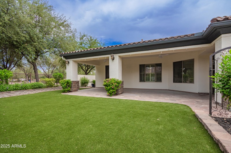 683c77_40 - Buckboard