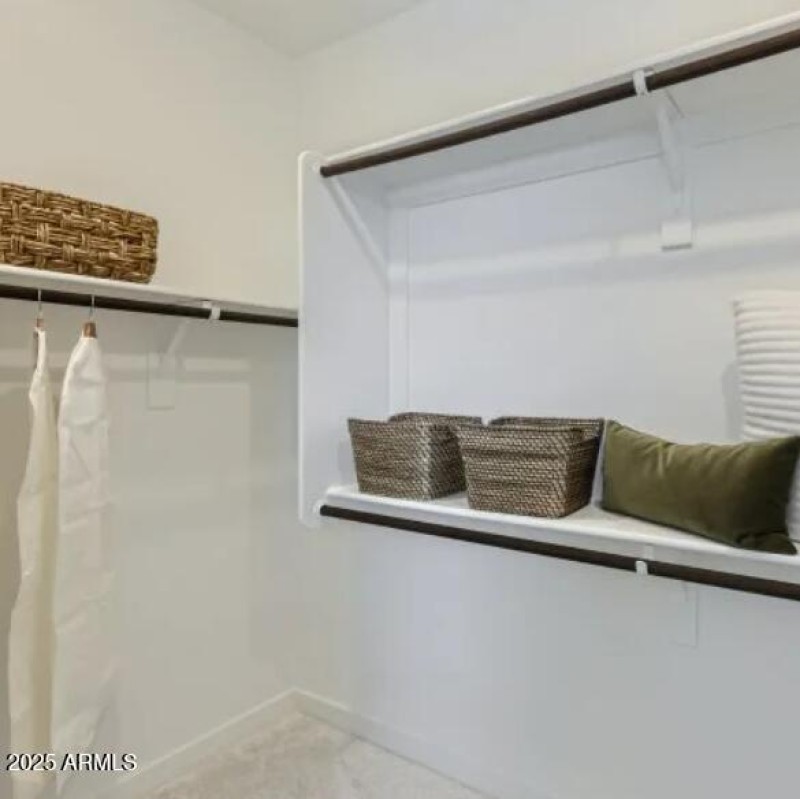 Owners Walk in Closet