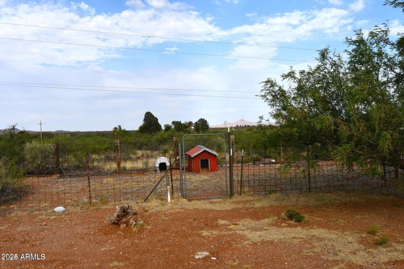 Fenced in dog houses