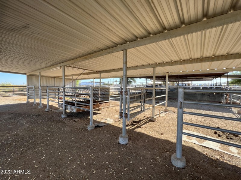 Shaded Horse Stables