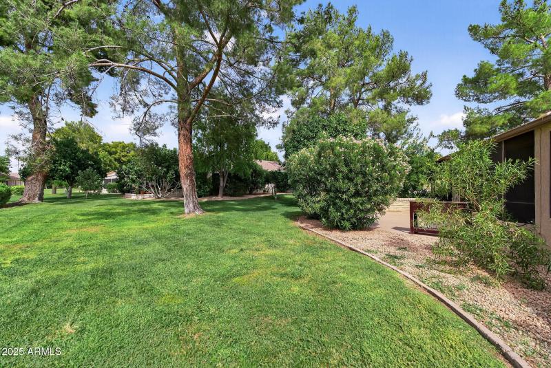 50_14122_W_Cavalcade50_mls