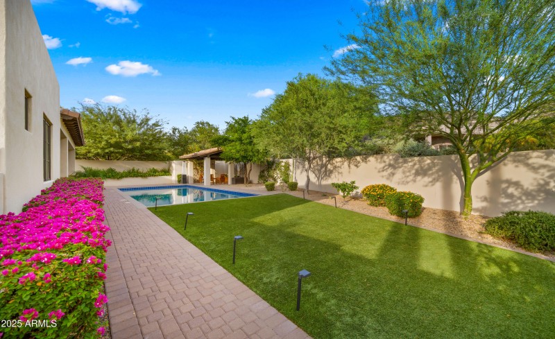 Backyard10
