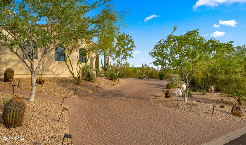 Front yard3