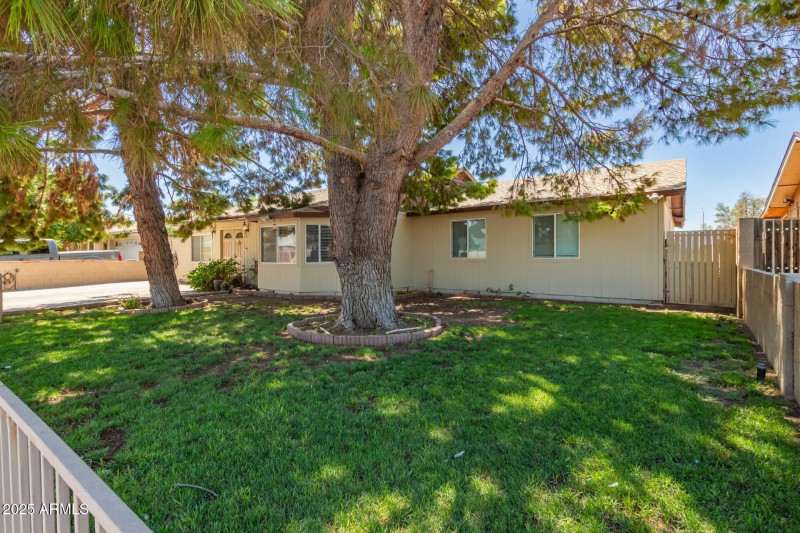Grass front yard