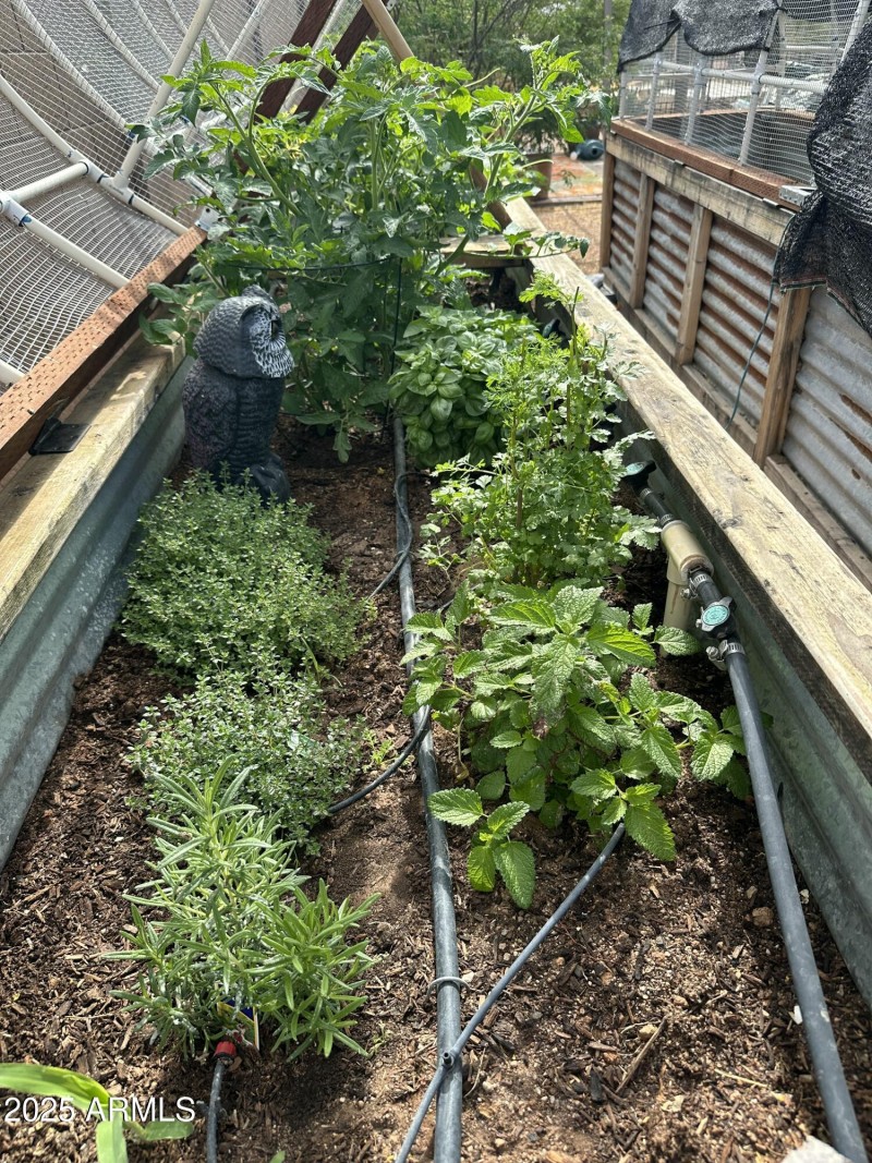 raised garden bed