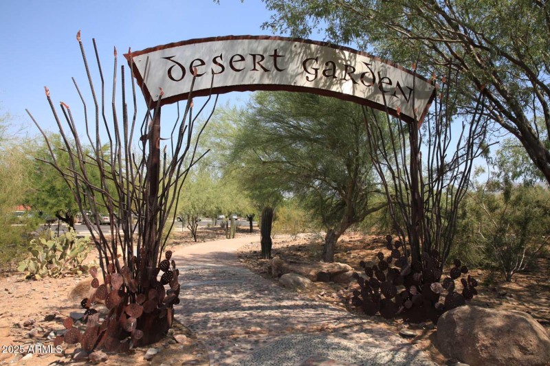 Scottsdale Ranch-Desert Garden