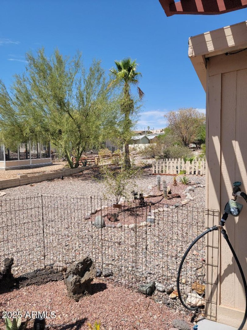 3806 back yard pic